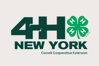 4H New York