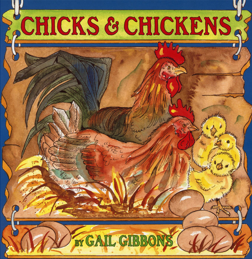 Chicks & Chickens