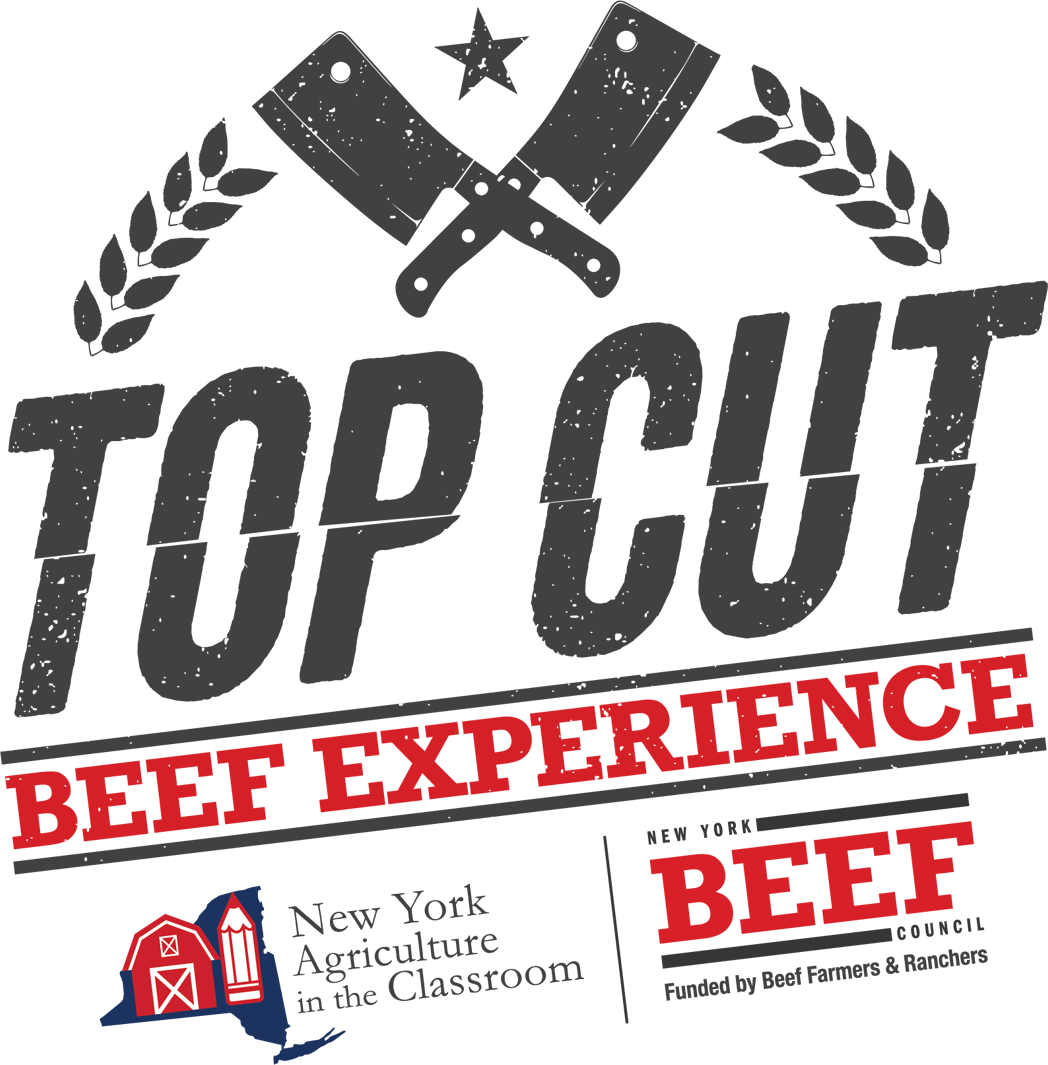 Beef Contest