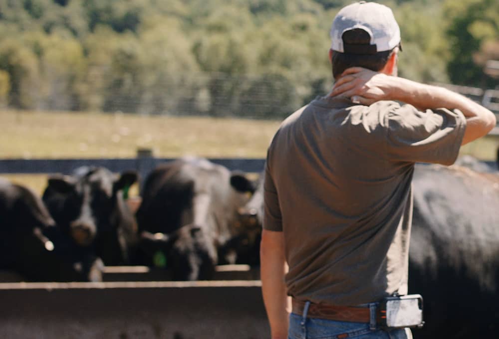 Feed Yard Operator