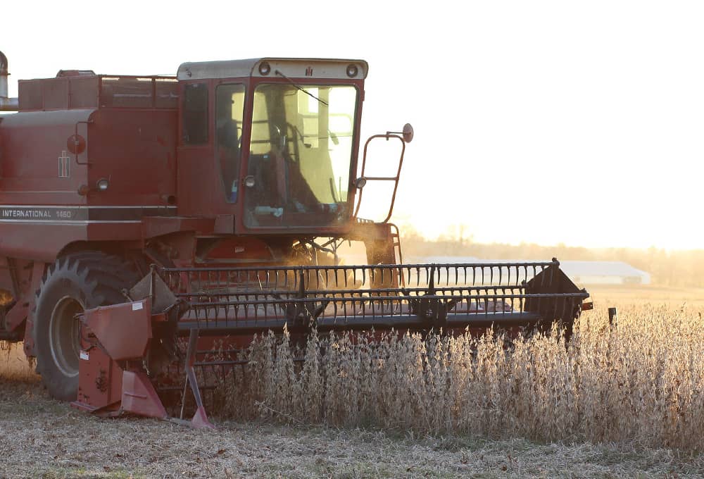 About Soybeans