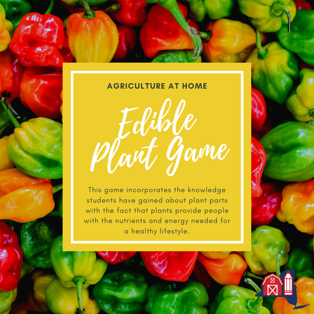 Edible Plant Game