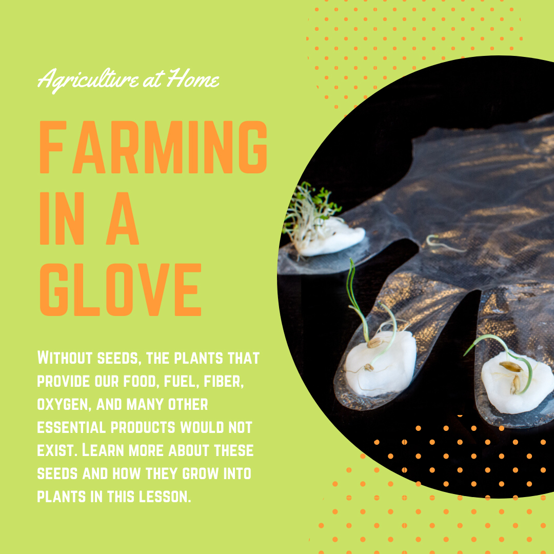 Farming in a Glove