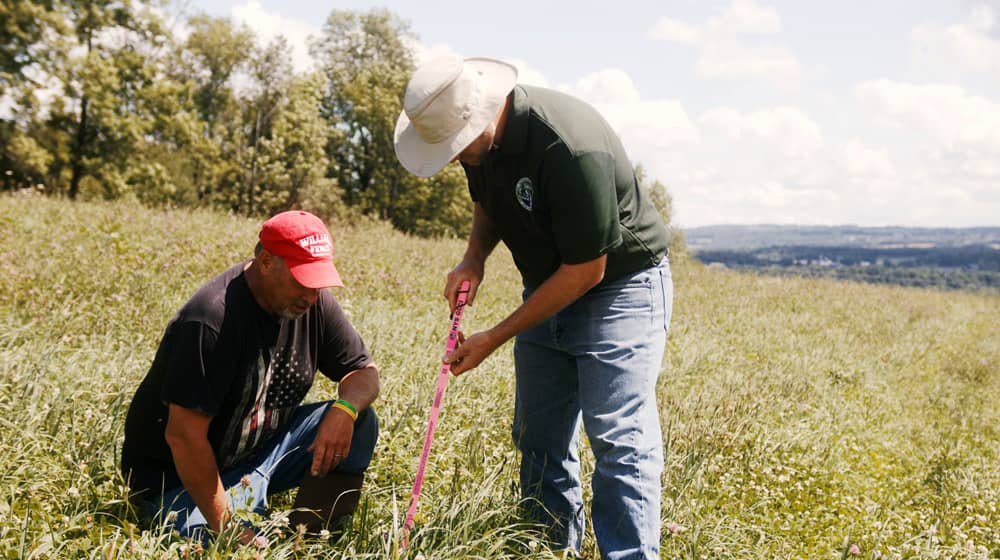 Soil Toolkit